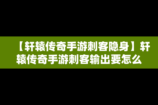 【轩辕传奇手游刺客隐身】轩辕传奇手游刺客输出要怎么操作