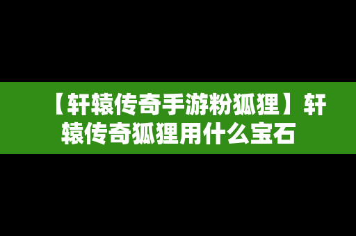 【轩辕传奇手游粉狐狸】轩辕传奇狐狸用什么宝石