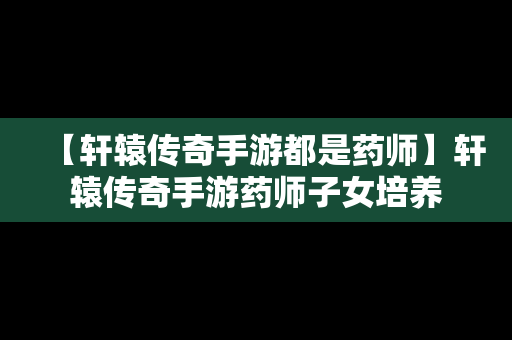 【轩辕传奇手游都是药师】轩辕传奇手游药师子女培养