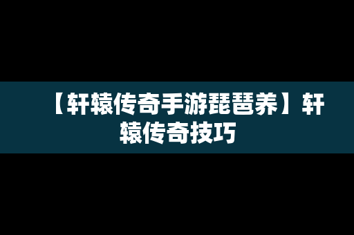 【轩辕传奇手游琵琶养】轩辕传奇技巧