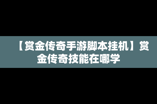 【赏金传奇手游脚本挂机】赏金传奇技能在哪学