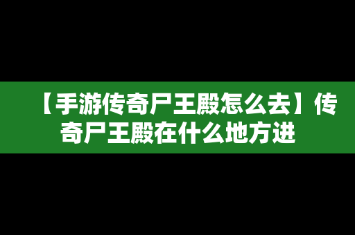 【手游传奇尸王殿怎么去】传奇尸王殿在什么地方进