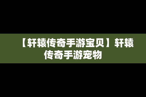 【轩辕传奇手游宝贝】轩辕传奇手游宠物