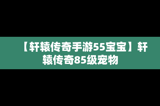 【轩辕传奇手游55宝宝】轩辕传奇85级宠物